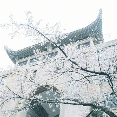 所有居民居家隔离 河北邢台南宫实行最严厉封控